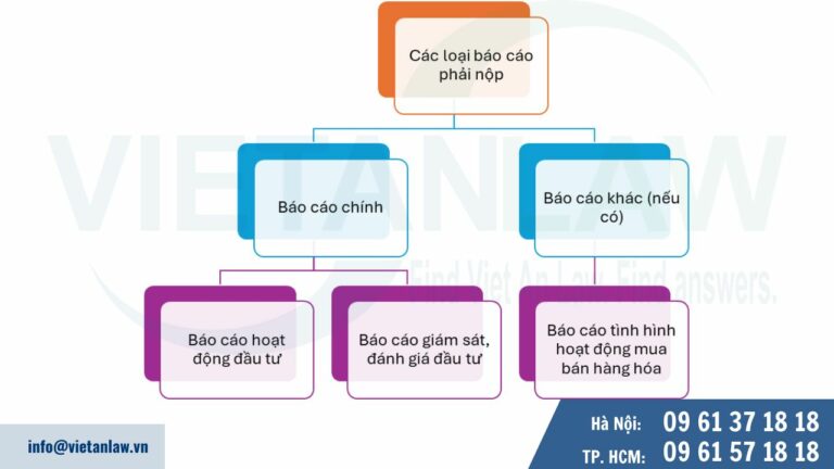 Các loại báo cáo công ty FDI phải nộp