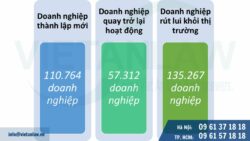 Cập nhật tình hình thành lập công ty/ doanh nghiệp đến tháng 9 năm 2024