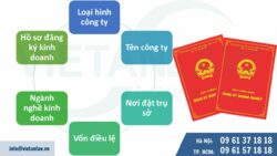 Thành lập công ty đảm bảo bàn giao kết quả nhanh chóng