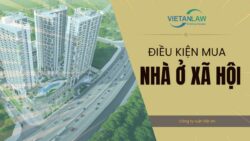 Video về nới lỏng điều kiện mua nhà ở xã hội Luật Nhà ở 2023