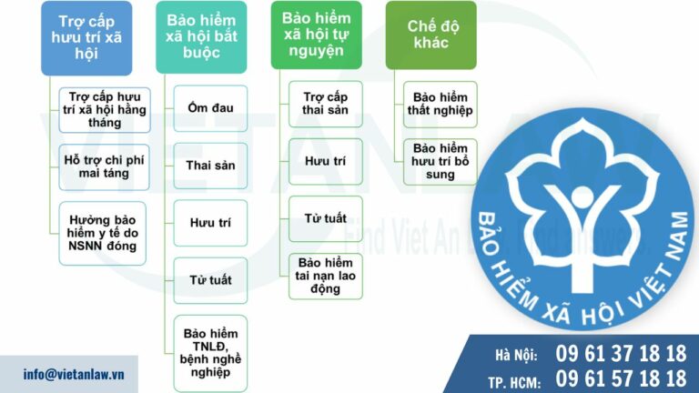 Loại hình, các chế độ bảo hiểm xã hội