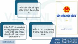 Mẫu văn bản đề nghị điều chỉnh dự án đầu tư của công ty FDI