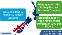 Lưu ý khi đăng ký nhãn hiệu tại New Zealand