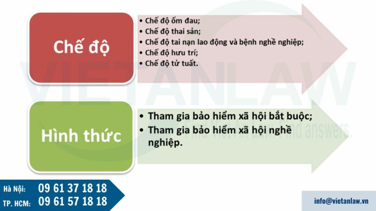 Bảo hiểm xã hội là gì