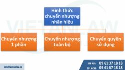 Các hình thức chuyển nhượng nhãn hiệu