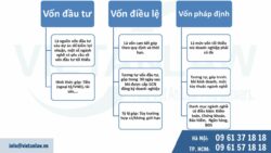 Các loại vốn của công ty có vốn đầu tư nước ngoài (FDI)