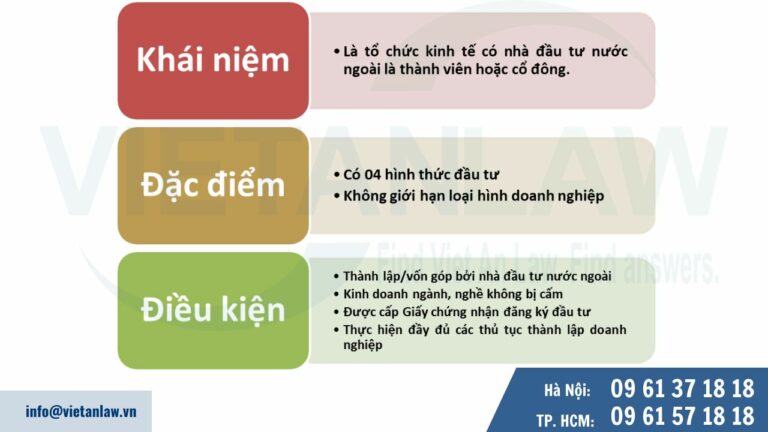 Khát quát về công ty có vốn đầu tư nước ngoài (FDI) 