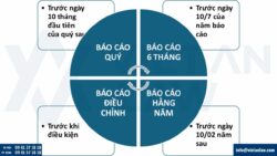 Báo cáo giám sát đầu tư công ty FDI mới từ 22/4/2026