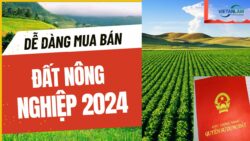 Dễ dàng mua bán chuyển nhượng đất nông nghiệp 2024