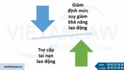 Quy định về BHXH tai nạn lao động tự nguyện với người lao động làm việc không theo HĐLĐ