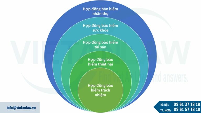 Các loại hợp đồng bảo hiểm thường gặp