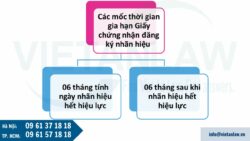 Các mốc thời gian gia hạn Giấy chứng nhận đăng ký nhãn hiệu