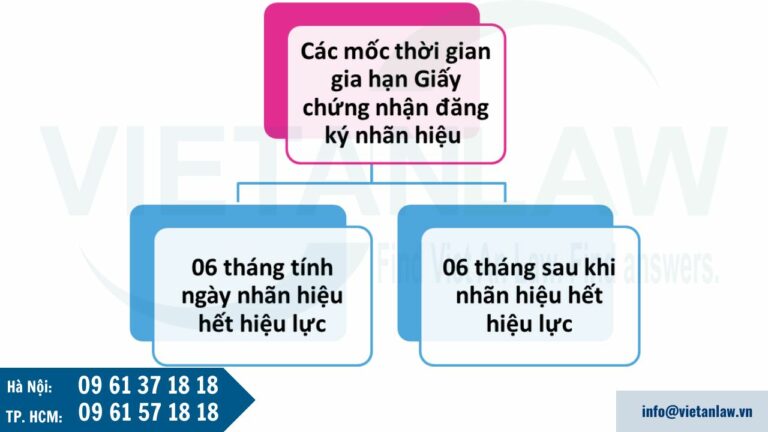 Các mốc thời gian gia hạn Giấy chứng nhận đăng ký nhãn hiệu