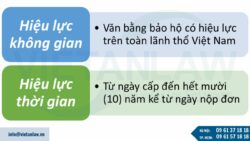 Gia hạn nhãn hiệu được bảo hộ mỗi lần là 10 năm