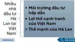 Thành lập công ty có vốn đầu tư Hà Lan tại Việt Nam