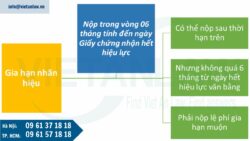 Thẩm quyền thực hiện gia hạn giấy chứng nhận đăng ký nhãn hiệu