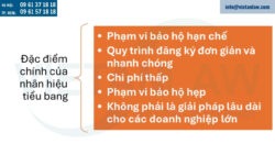 Quy định về nhãn hiệu liên bang và nhãn hiệu tiểu bang tại Mỹ