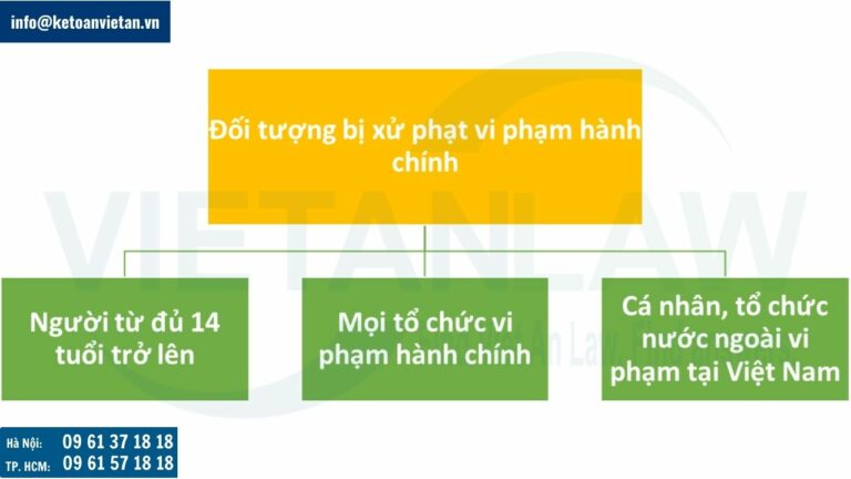 Đối tượng bị xử lý vi phạm hành chính