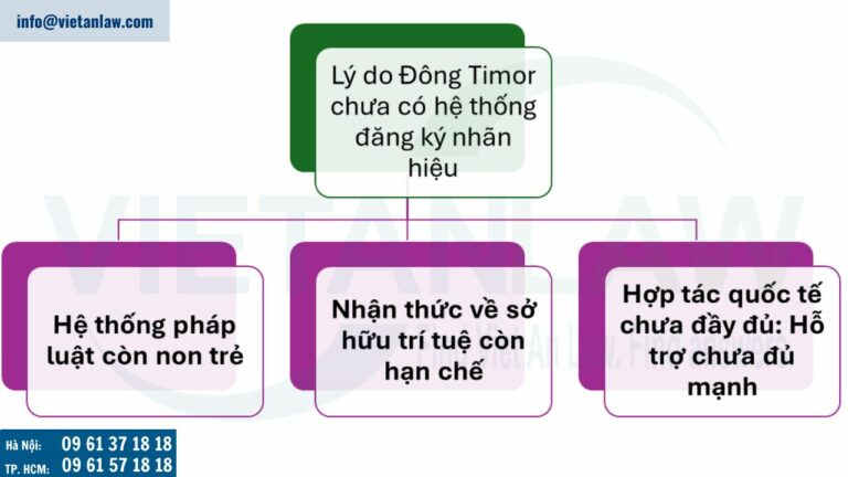 Đông Timor chưa có hệ thống đăng ký nhãn hiệu chính thức