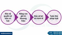 Nhu cầu gia hạn giấy chứng nhận đăng ký nhãn hiệu hiện nay