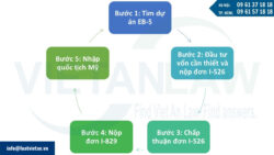 Quy trình đầu tư định cư tại Mỹ