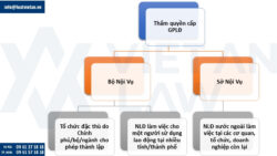 Thẩm quyền cấp giấy phép lao động