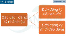 Thủ tục đăng ký nhãn hiệu tại Vương quốc Anh sau Brexit