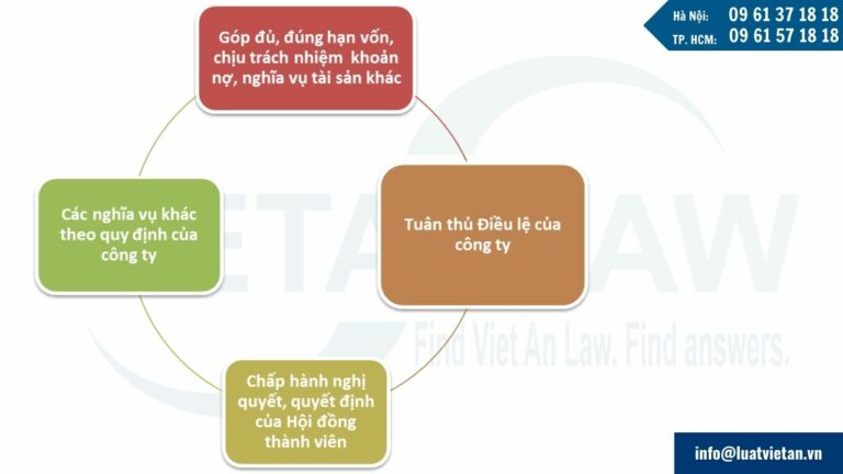 Trách nhiệm của thành viên công ty TNHH 2 thành viên