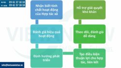 Các loại hợp tác xã theo quy định của pháp luật