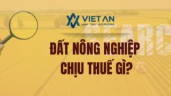 Đất nông nghiệp chịu thuế gì? (Video)