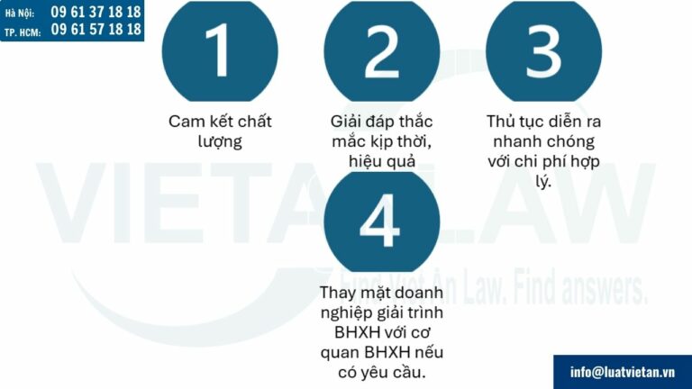 Cam kết của đại lý thuế Việt An