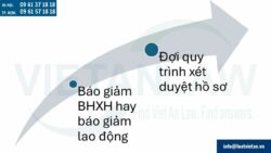 Dịch vụ chốt sổ bảo hiểm cho người lao động