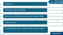 Dịch vụ bảo hiểm xã hội cho thương nhân nước ngoài