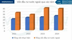 Tình hình đầu tư ra nước ngoài của doanh nghiệp Việt Nam năm 2024