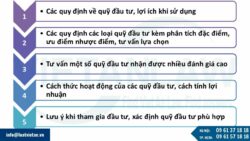 Tư vấn quỹ đầu tư tại Việt Nam