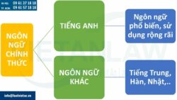 Điều khoản về ngôn ngữ trong hợp đồng thương mại quốc tế