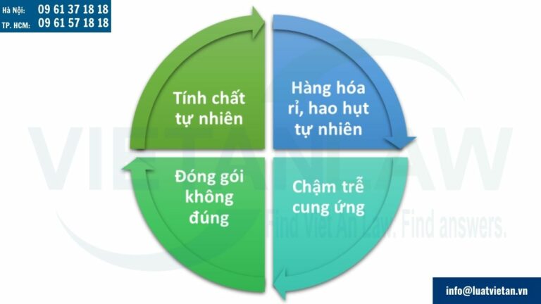 người bảo hiểm không chịu trách nhiệm về các tổn thất phát sinh trong trường hợp