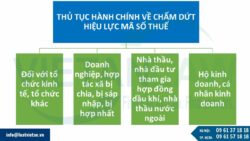 28 bộ thủ tục hành chính về thuế áp dụng từ ngày 6.2.2025