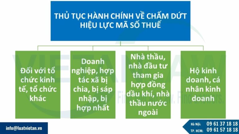 Bộ thủ tục hành chính về chấm dứt hiệu lực mã số thuế áp dụng từ ngày 6.2.2025