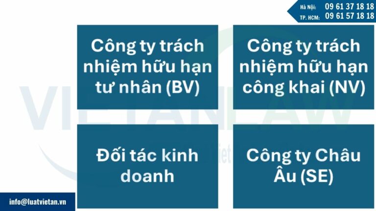 Các loại hình công ty có thể thành lập tại Hà Lan