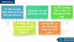 Luật sư hình sự tại Quận Gò Vấp, Tp.Hồ Chí Minh