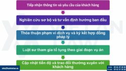 Dịch vụ luật sư hình sự tại Tp. Hồ Chí Minh