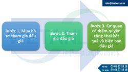 Nghị định 172/2024/NĐ-CP hướng dẫn Luật Đấu giá tài sản