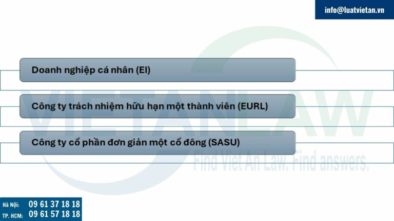 Các hình thức công ty có thể thành lập tại Pháp nếu muốn thành lập công ty riêng