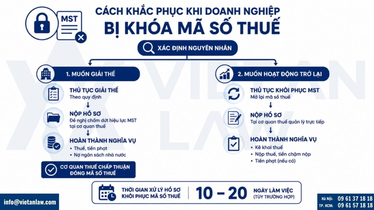 Cách khắc phục khi doanh nghiệp bị khóa mã số thuế