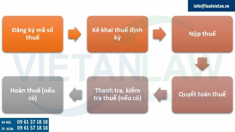 Quy trình nộp thuế như thế nào đối với công ty kinh doanh dạy thêm, học thêm?