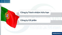 Các loại hình công ty có thể thành lập tại Bồ Đào Nha