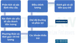 Dịch vụ tư vấn soạn thảo quy chế tiền lương cho doanh nghiệp