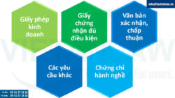 Tư vấn điều kiện kinh doanh các ngành nghề kinh doanh có điều kiện