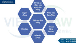 Hồ sơ pháp lý quan hệ lao động không thể thiếu của doanh nghiệp